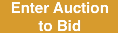 auction-bid-button